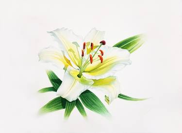 Original Fine Art Floral Paintings by Svetlana Lileeva