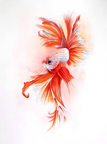 Original Fine Art Fish Paintings by Svetlana Lileeva