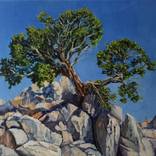 Collection Shop by Price ($500–1,500)