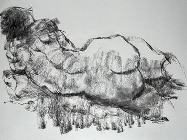 Original Nude Drawings by Anday Carden