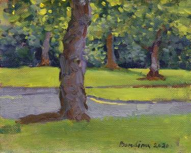Original Impressionism Tree Paintings by Anastasiia Borodina