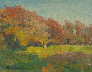 Original Impressionism Landscape Paintings by Anastasiia Borodina