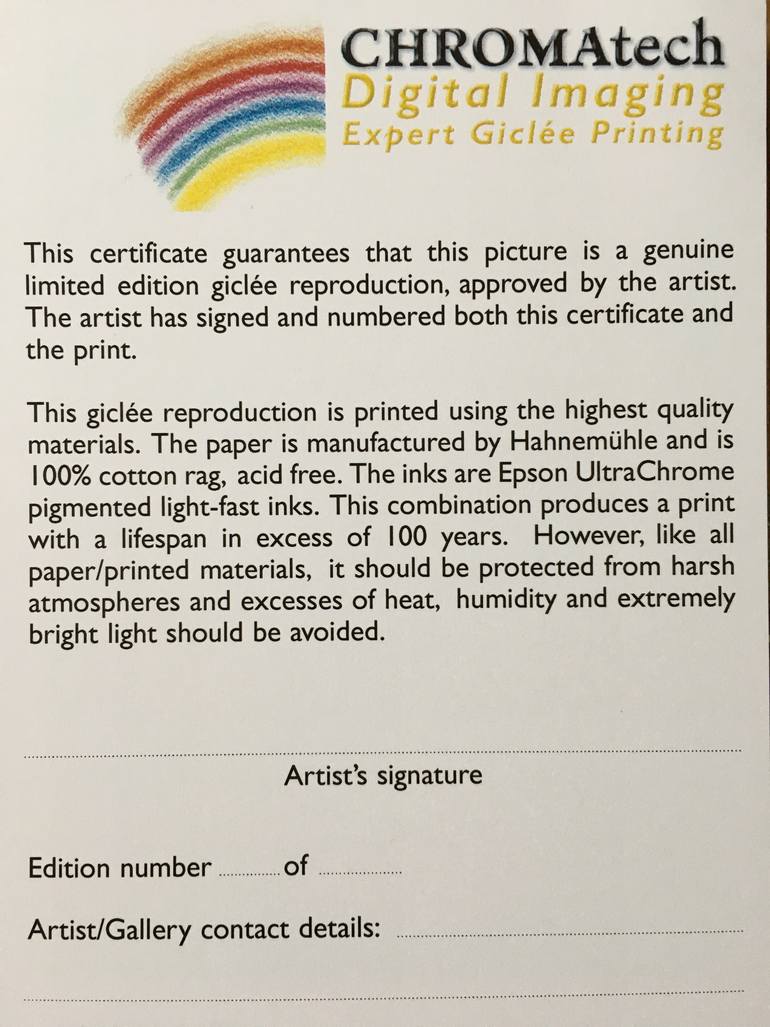 Original Other Seascape Printmaking by John Haynes