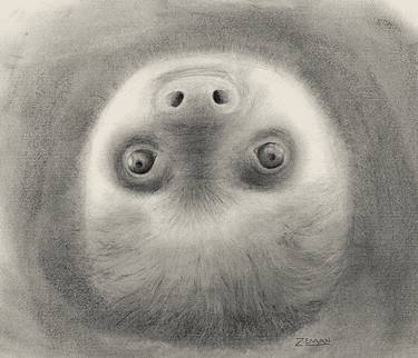 Original Illustration Animal Drawing by Ron Zeman