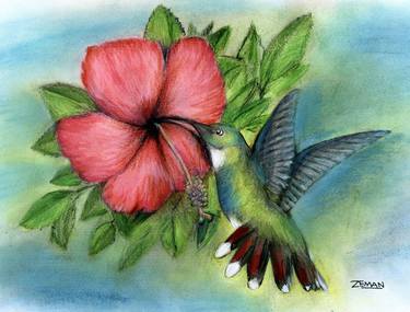 Hummingbird/Hibiscus thumb