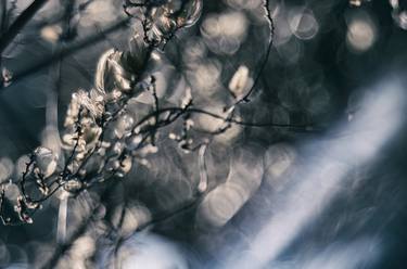 Print of Abstract Nature Photography by Jeremi Grzywa