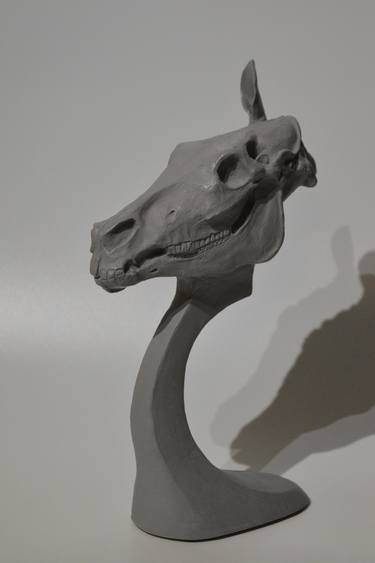 Equine Horse Anatomy Skull and muscles sculpture thumb