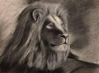 Original Realism Animal Drawings by tiana tebano