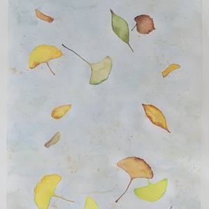 Collection Falling Leaves