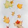 Collection Falling Leaves