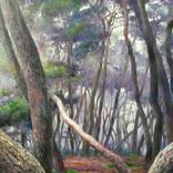 Dawn Forest by O Ju Park