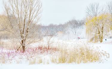 Canadian Winter thumb