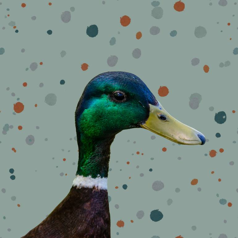 Stylish duck portrait - Limited Edition of 50 - Print