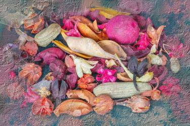 Dried flowers and fruits thumb