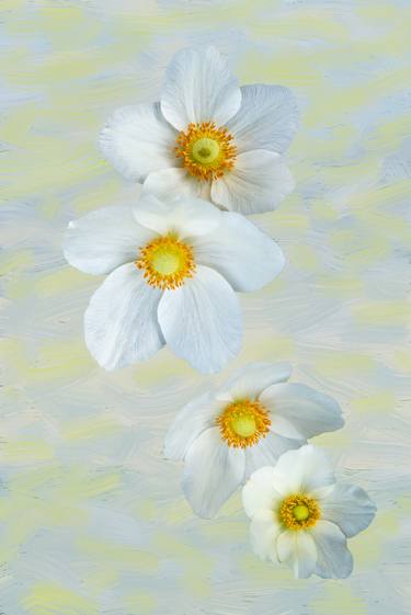 Print of Floral Photography by Petras Paulauskas