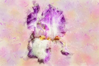 Print of Fine Art Floral Mixed Media by Petras Paulauskas