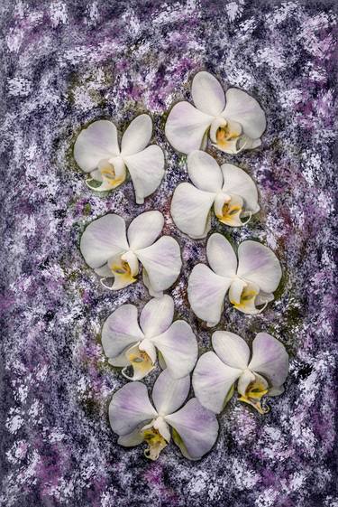 Print of Floral Photography by Petras Paulauskas