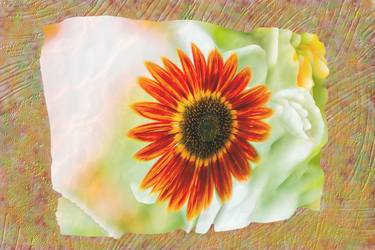 Abstract - Spanish Sunflower thumb