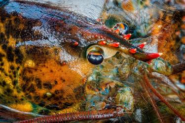 Print of Fine Art Animal Photography by Petras Paulauskas