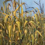 The Corn by Evgeny Yastrebov