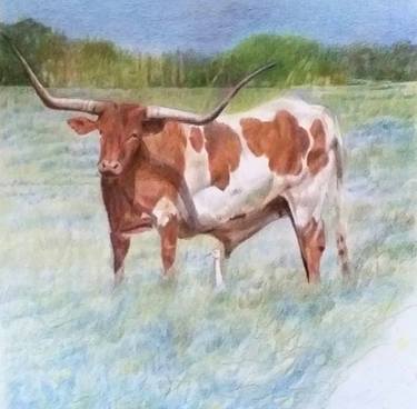 Texas bull thumb