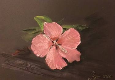 "Рink hibiscus". Picture from a series of flowers. thumb