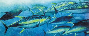 Print of Fine Art Fish Paintings by M Scott Oatman