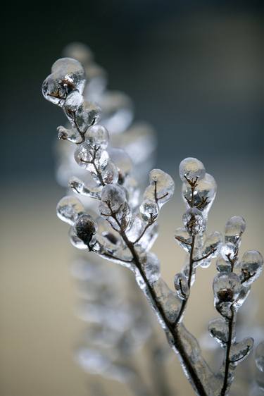 Jewelry of winter thumb