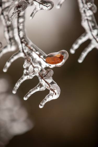 Jewelry of winter 1 thumb