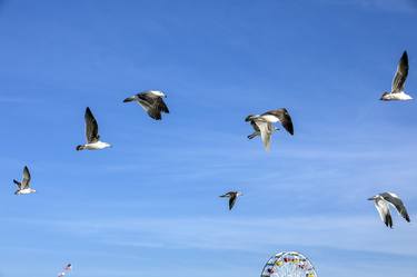 Original Minimalism Beach Photography by Ziesook You