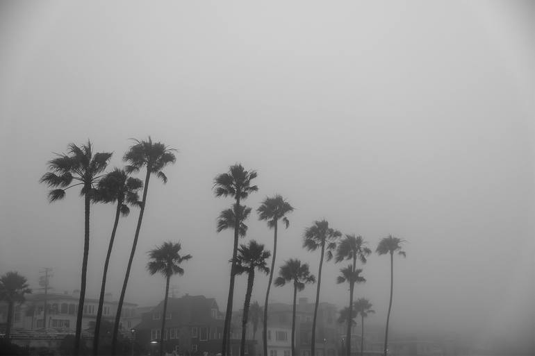 Original Black & White Landscape Photography by Ziesook You