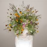Texas wild flowers thumb