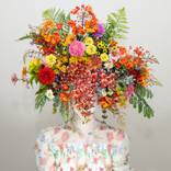 Scent of Austin 08022025-1 by Ziesook You