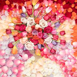 Collection New Work for Under $5000 (Week of Oct 26)