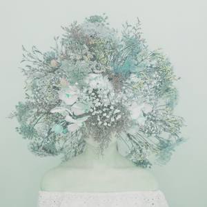 Collection Texas Locals