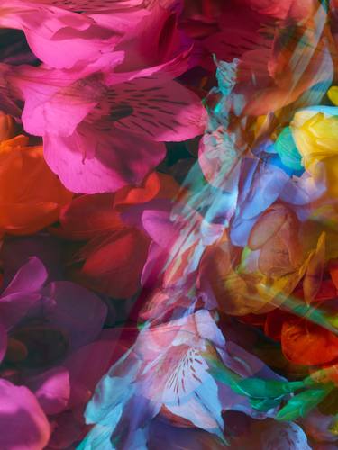 Original Fine Art Floral Photography by Andrea Zvadova