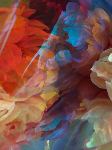 Original Abstract Floral Photography by Andrea Zvadova