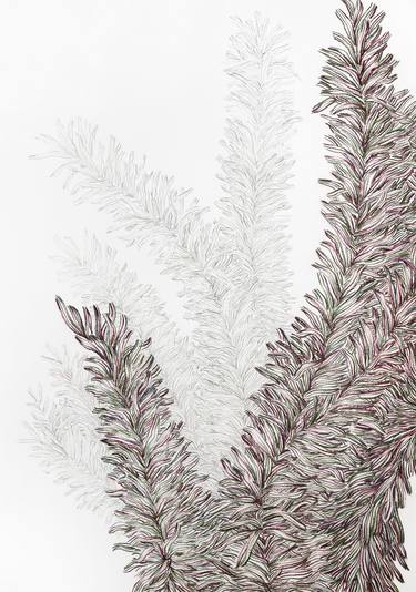 Original Botanic Drawings by Laura Manino