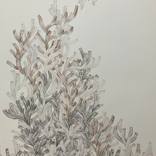 Hiper Organico 33 by Laura Manino