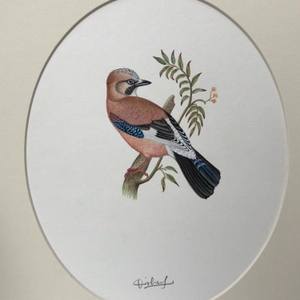 Collection Krishan Kumar Gupta