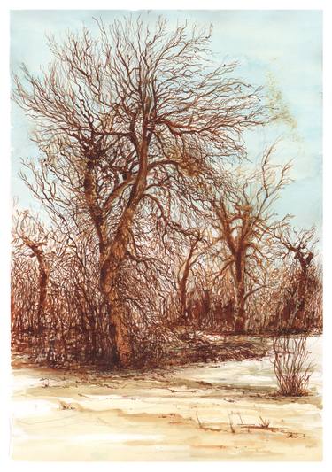 Original Expressionism Tree Drawings by Sudeep Kumar