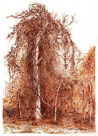 Print of Expressionism Nature Drawings by Sudeep Kumar