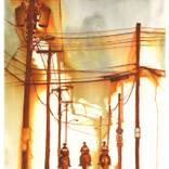 Collection Texas is the Obsession