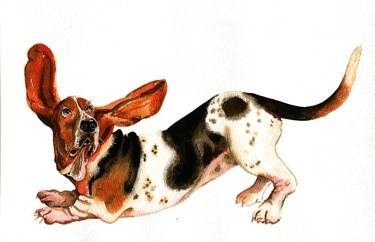 Basset Hound - Original Watercolor thumb