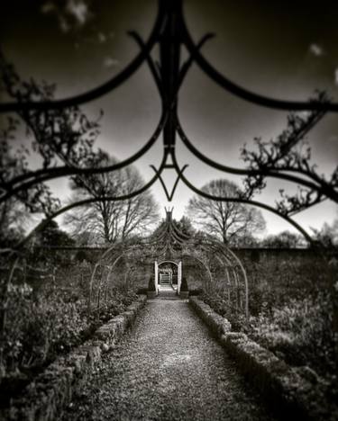 Print of Documentary Garden Photography by Patrick White