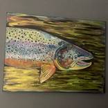 Beautiful Salmon by Brian Thomas