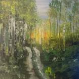 Morning in Delamere Forest by Brian Thomas