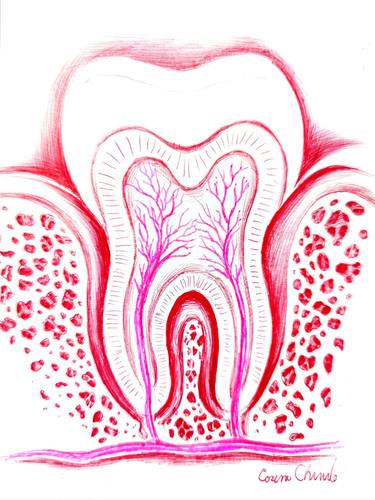 Tooth structure thumb