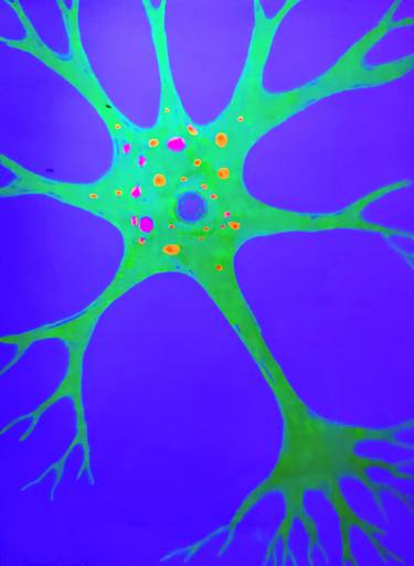 Fluorescent neuron thumb