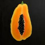 Papaya by Ksenia Igolkina